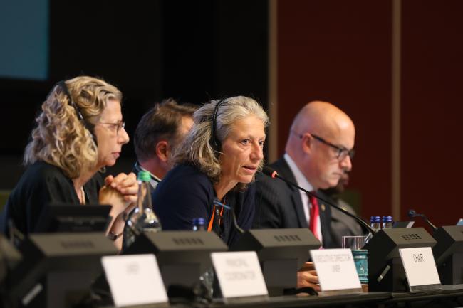 OEWG Chair Gudi Alkemade