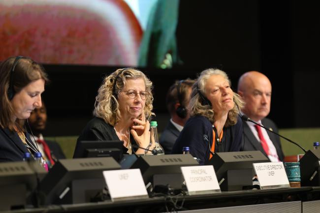 Inger Andersen, Executive Director, UNEP, and OEWG Chair Gudi Alkemade