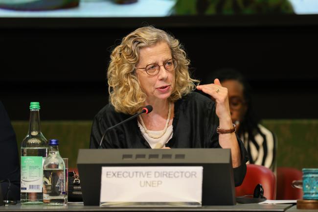 Inger Andersen, Executive Director, UNEP