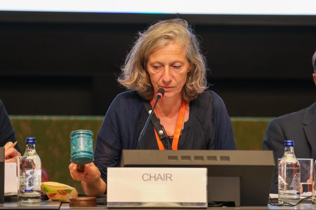 OEWG Chair Gudi Alkemade