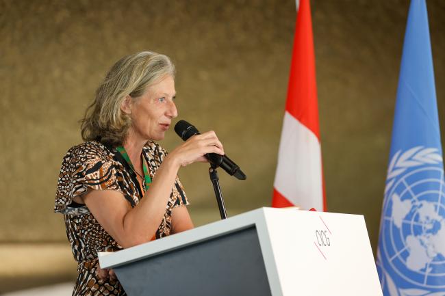 OEWG Chair Gudi Alkemade