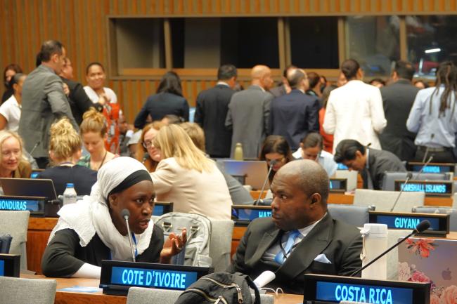 Delegates consulting