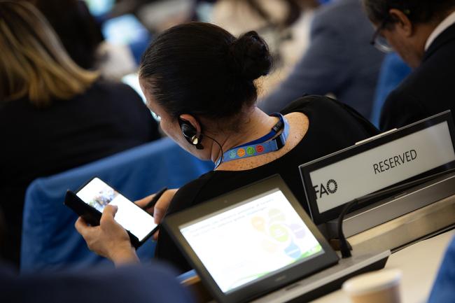 1 Delegate during plenary - COFO27 - 22Jul2024