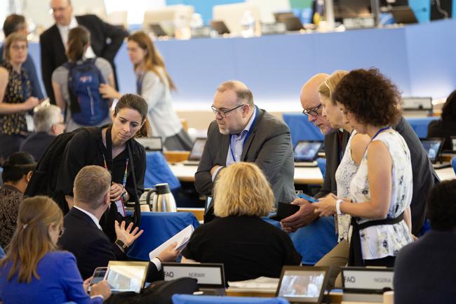 3 EU during an informal consultation with the COFO27 Chair - COFO27 - 25Jul2024