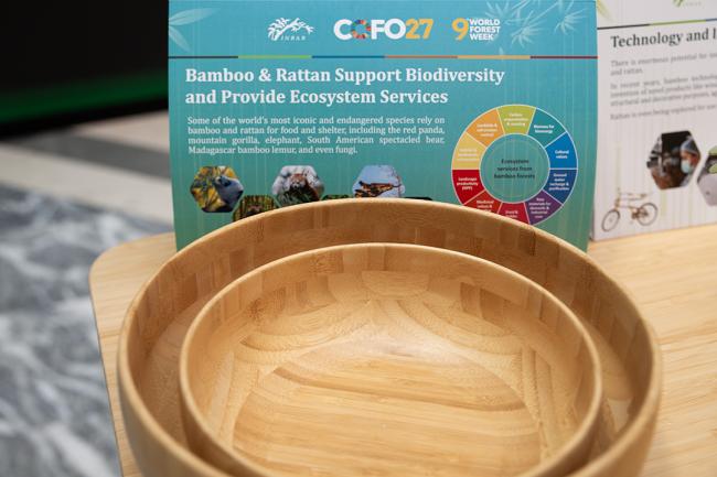 5 Bamboo work - COFO27 - 25Jul2024