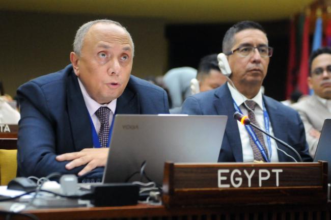 Amr Hamouda, Egypt
