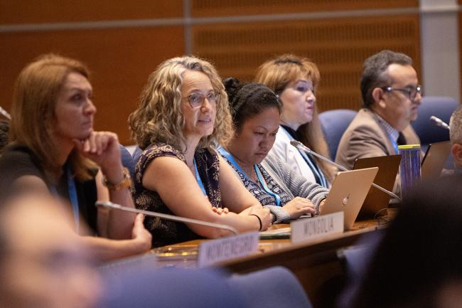 Ana Maria Kleymeyer, Federated States of Micronesia - OEWG46 - 12July2024