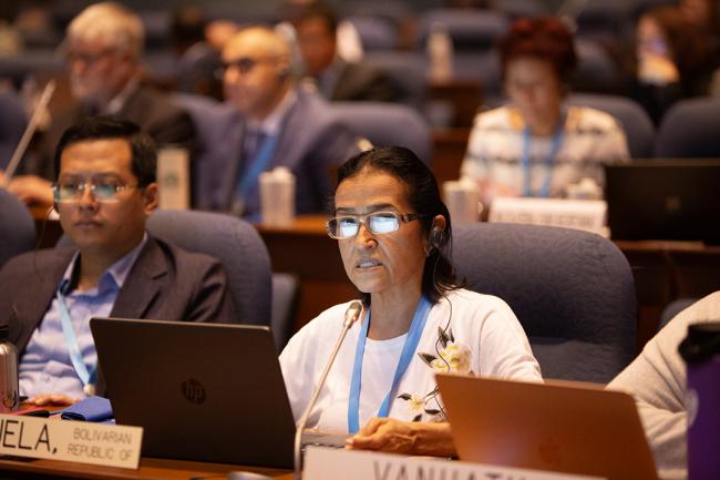 Anabell Arvelaez, Bolivarian Republic Venuezuela - OEWG46 - 9July2024