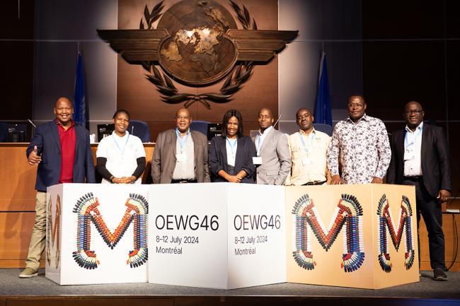 Around the Venue 11 - OEWG46 - 12July2024