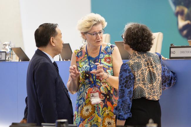 Around the Venue 22 - COFO27 - 25Jul2024