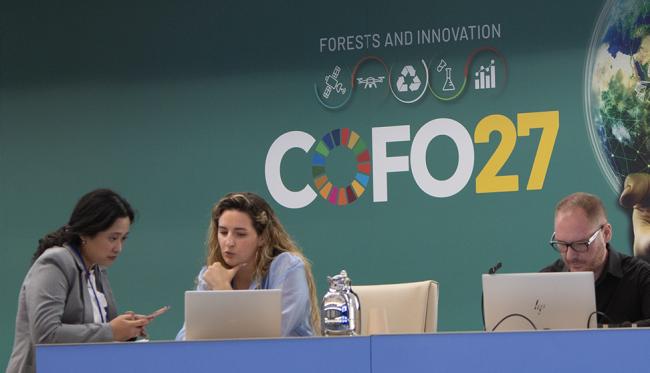Around the Venue 4 - COFO27 - 22Jul2024