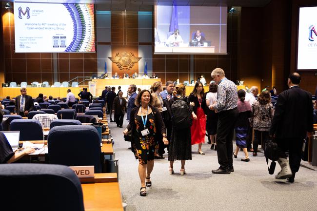 Around the Venue 8 - OEWG46 - 8July2024