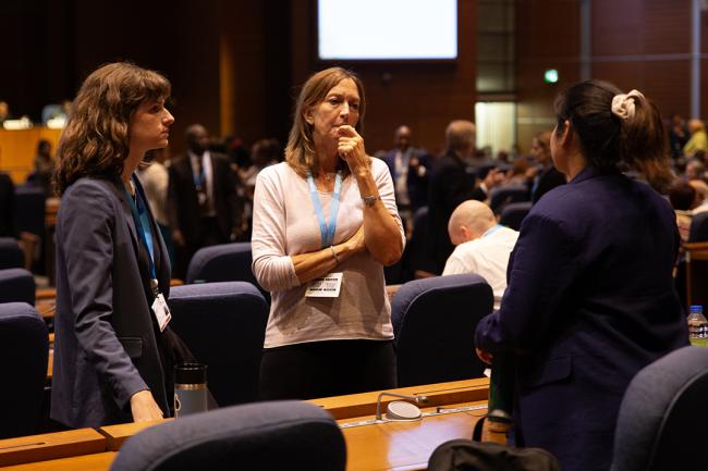 Around the Venue 9 - OEWG46 - 11July2024