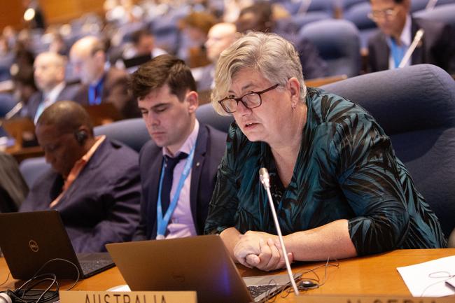 Australia - OEWG46 - 11July2024