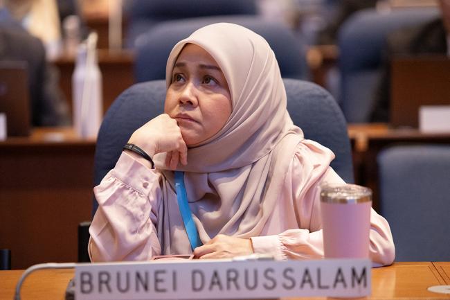 Binti Mohammad Hajah Suryanti, Brunei - OEWG46 - 12July2024