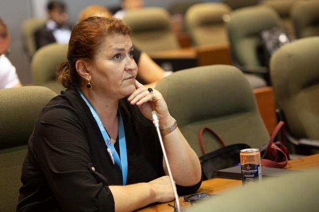 Bosnia - OEWG46 - 12July2024