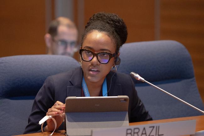 Brazil - OEWG46 - 10July2024