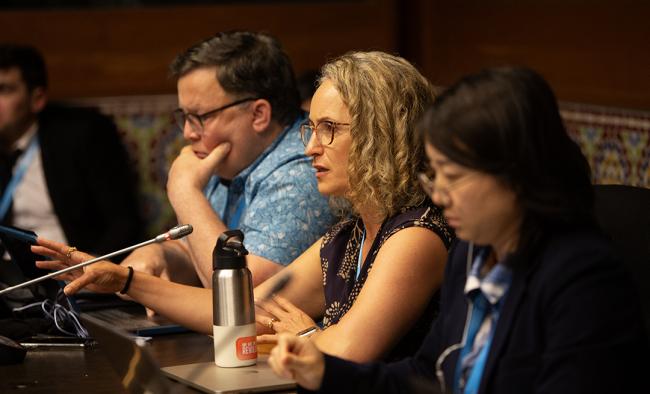 CG10 - OEWG46 - 12July2024