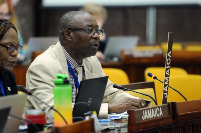 Cebert Mitchell, Jamaica