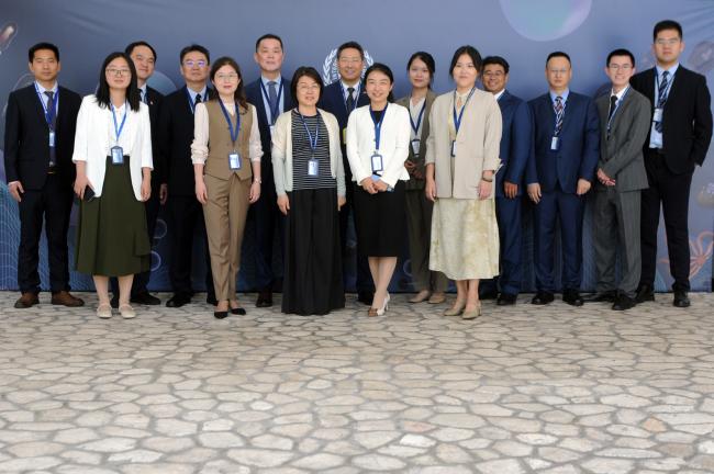 The Chinese delegation
