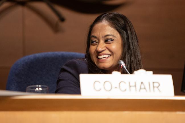 Co-Chair Miruza Mohamed (Maldives) - OEWG46 - 8July2024
