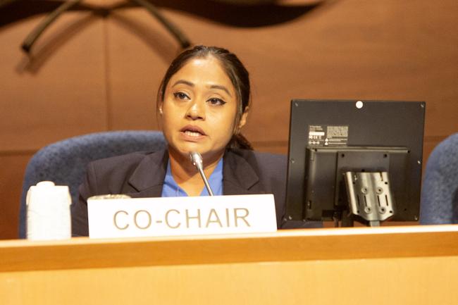 Co-Chair Miruza Mohamed (Maldives)- OEWG46 - 12July2024