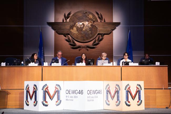 Dais during Opening - OEWG46 - 8July2024
