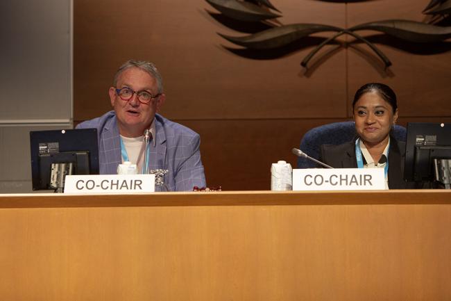 Deputy Executive Secretary, Ozone Secretariat; Co-Chair Ralph Brieskorn, Co-Chair Miruza Mohamed - OEWG46 - 11July2024