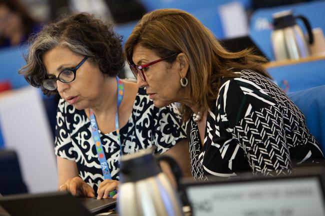 During plenary - COFO27 - 24Jul2024