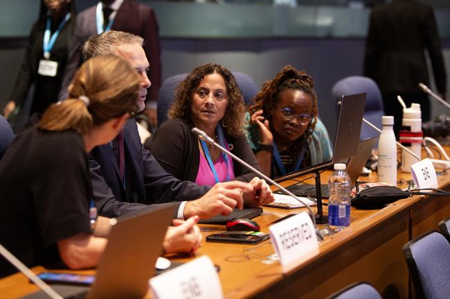 ENB teamd and Ozone Secretariat - OEWG46 - 11July2024