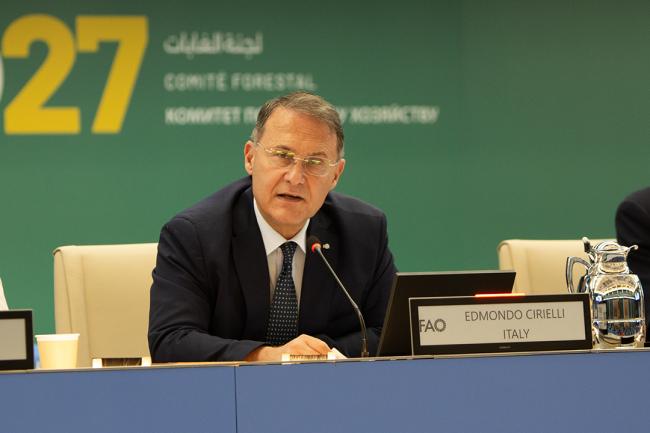 Edmondo Cirelli - COFO27 - 26Jul2024