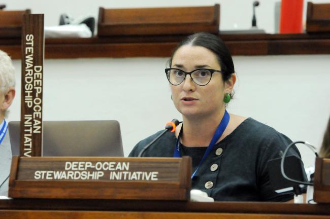 Elisabetta Menini, Deep-Ocean Stewardship Initiative (DOSI)