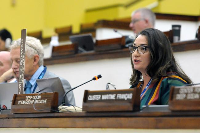 Elisabetta Menini, Deep-Ocean Stewardship Initiative (DOSI)