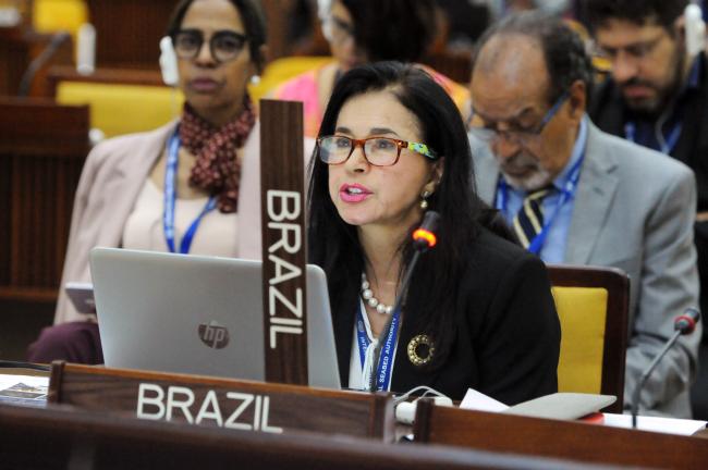 Elza Moreira Marcelino de Castro, Brazil
