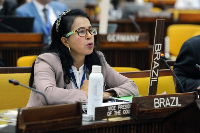 Elza Moreira Marcelino de Castro, Brazil