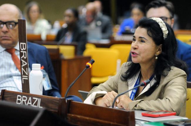 Elza Moreira Marcelino de Castro, Brazil