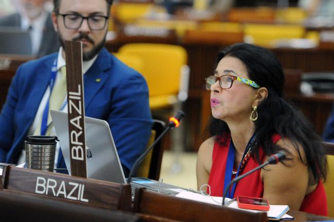 Elza Moreira Marcelino de Castro, Brazil