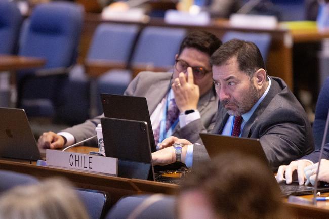 Emilio Yáñez and Osvaldo Álvarez-Pérez, Chile - OEWG46 - 9July2024