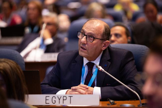 Ezzat Lewis, Egypt - OEWG46 - 9July2024