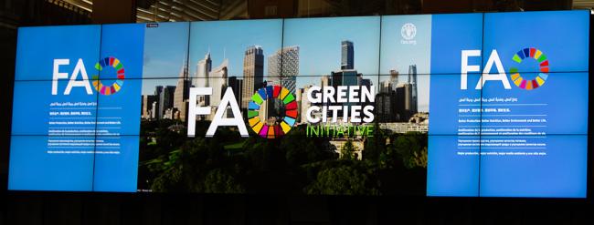 FAO Green Cities Initiative - COFO27 - 26Jul2024
