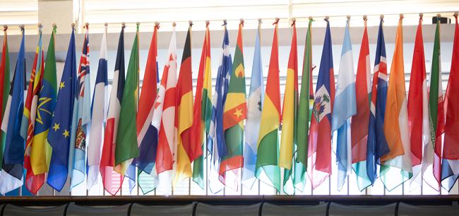 Flags - COFO27 - 23Jul2024