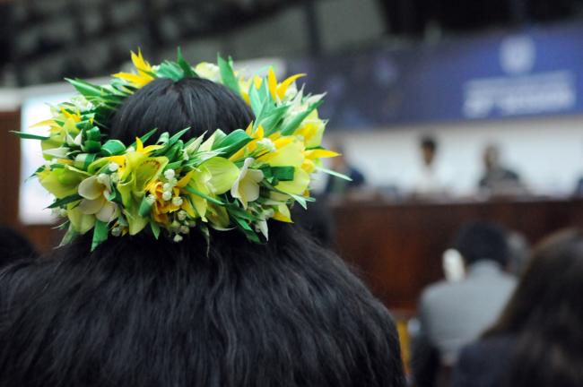 Flower crown