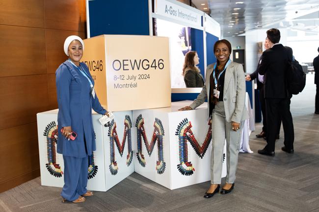 Gidado Shafa'atu Muhammad, and Ogechukwu Franca Eze, Nigeria - OEWG46 - 8July2024