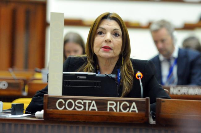 Gina Guillén Grillo, Costa Rica