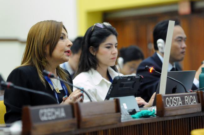 Gina Guillén Grillo, Costa Rica