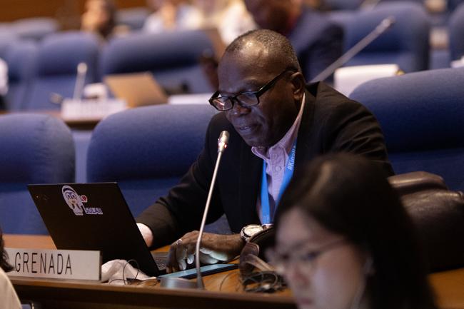 Grenada- OEWG46 - 12July2024