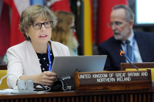 Helen Mulvein, UK