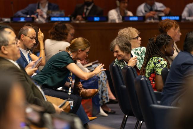 Delegates consult during the session