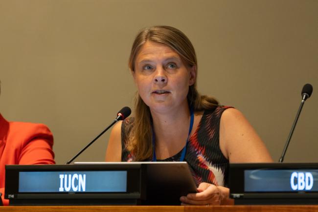 Sofie Sandström Jaffe, International Union for Conservation of Nature (IUCN)