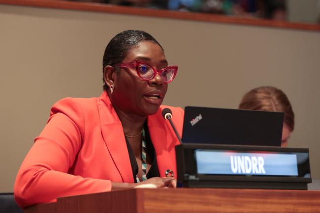 Toni-Shae Freckleton, UN Office for Disaster Risk Reduction (UNDRR)